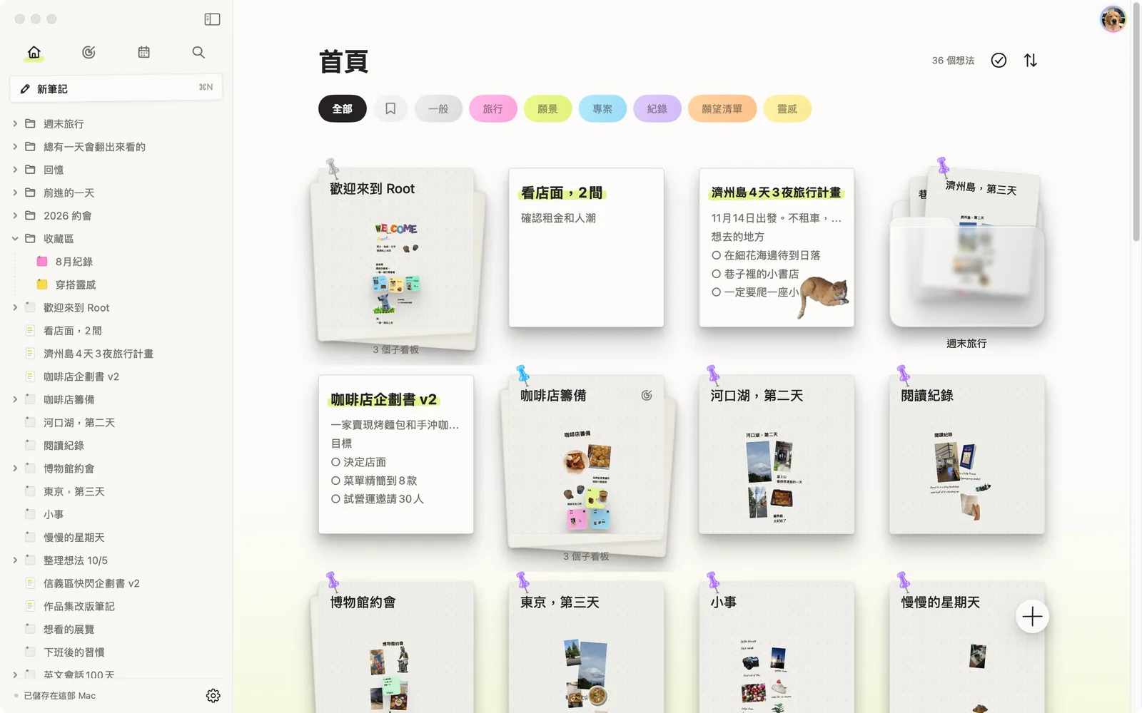 Mac 上的 Root 畫面 — 首頁